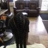 Kadi Professional Hair Braiding